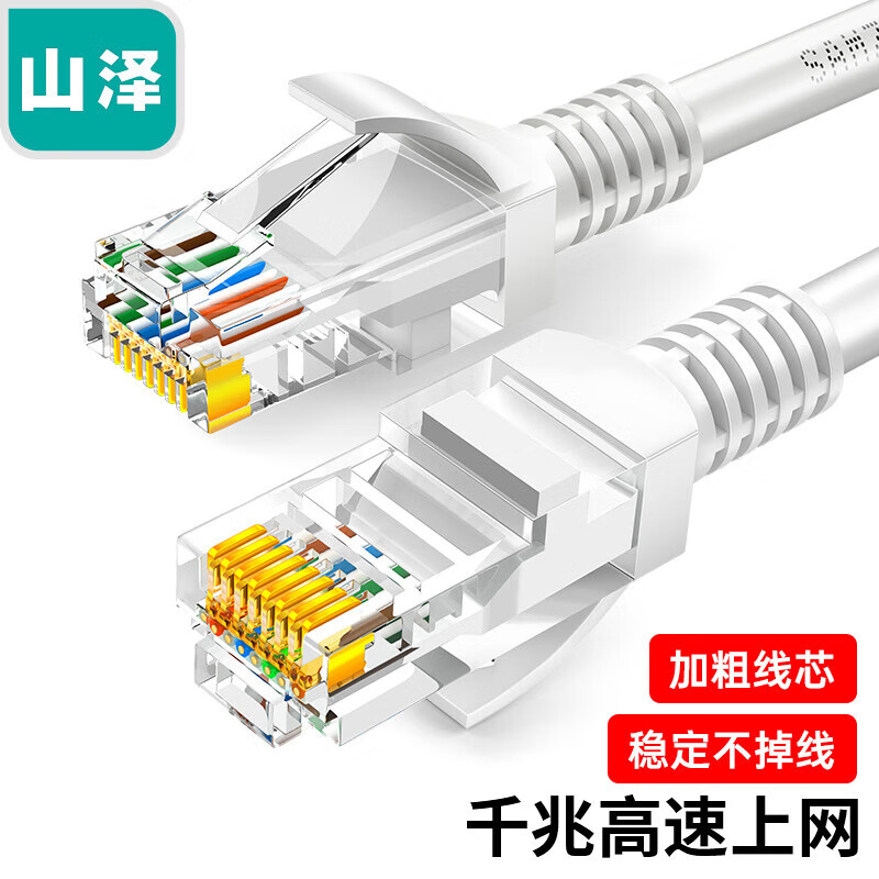 山泽(SAMZHE)超五类网线 CAT5e类高速千兆网线 10米 工程/宽带电脑家用连接跳线 成品网线 贝吉色 ZW-10